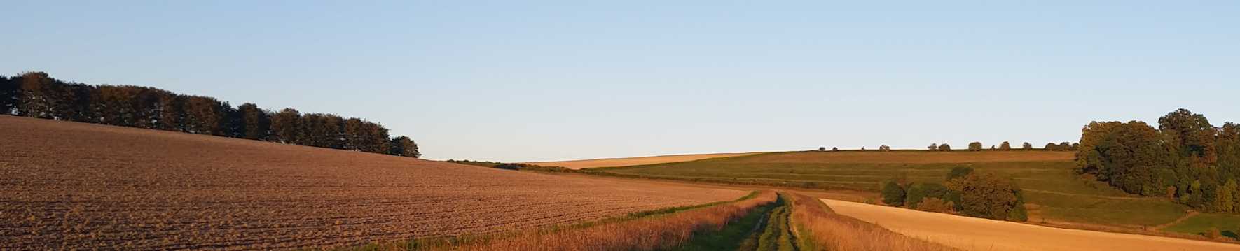 Chisman's Cleeve, Upavon. Wilts. 2015