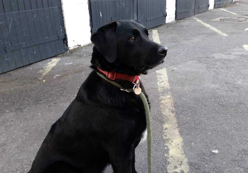 Ben - where is my pint?  Avebury 2015