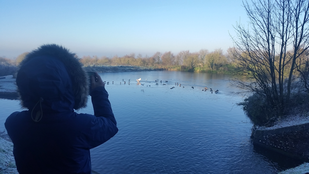 Caen Hill Locks, Devizes 2016