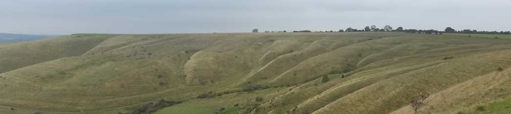 View from Oliver's Castle, Devizes. 2015